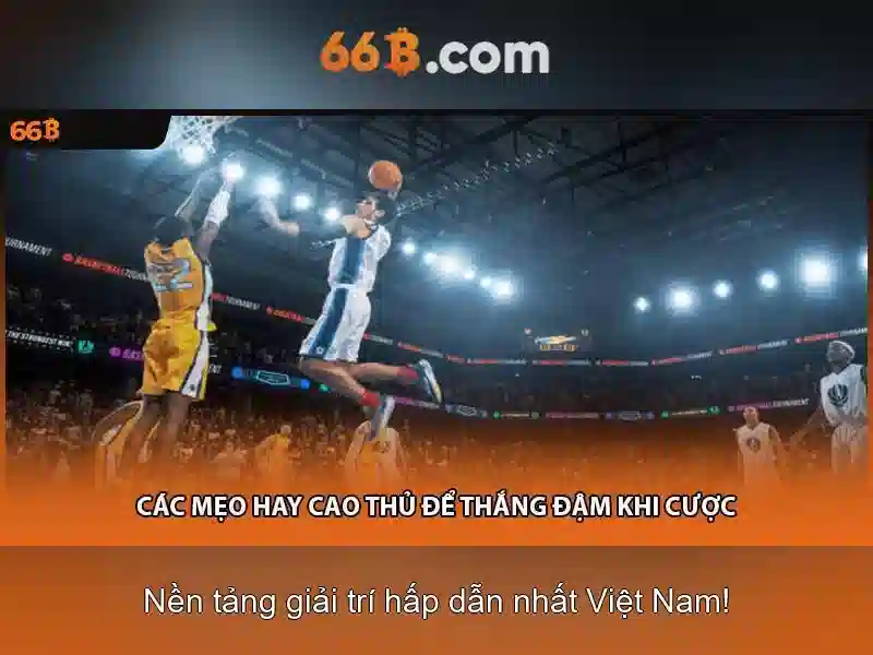 Khả năng ngôn ngữ và ứng dụng