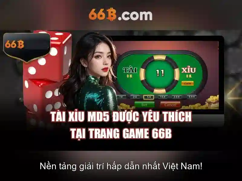 66B là gì và vì sao nó quan trọng