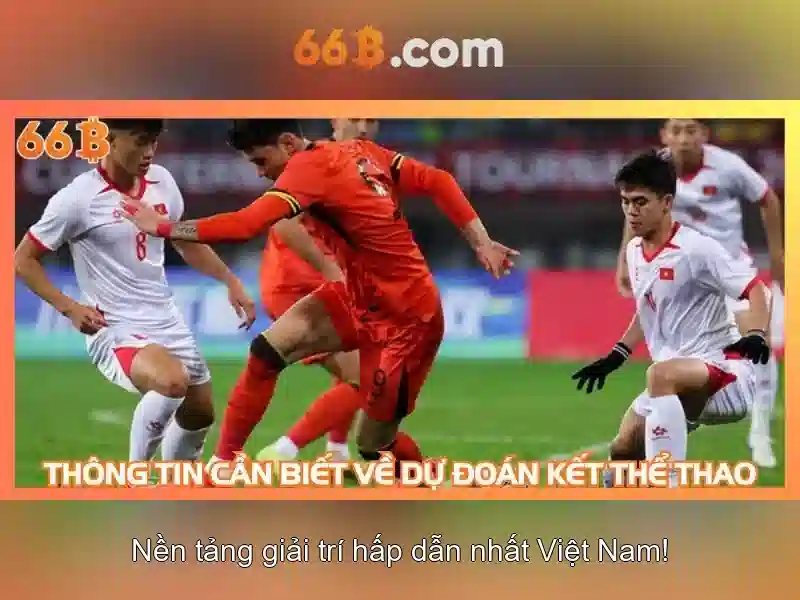 66B: Khái niệm và tầm ảnh hưởng