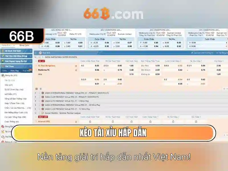 Ứng dụng của 66b trong cuộc sống