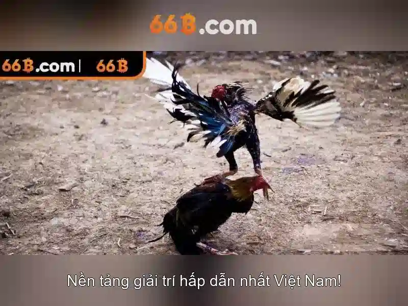 Kiến trúc và đặc điểm