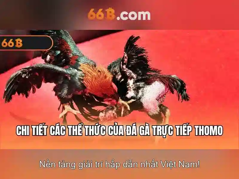 66b: Tổng quan và ứng dụng
