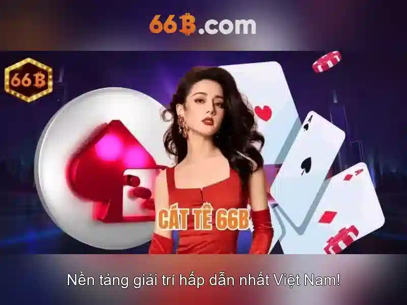 Đặc điểm chính của 66B