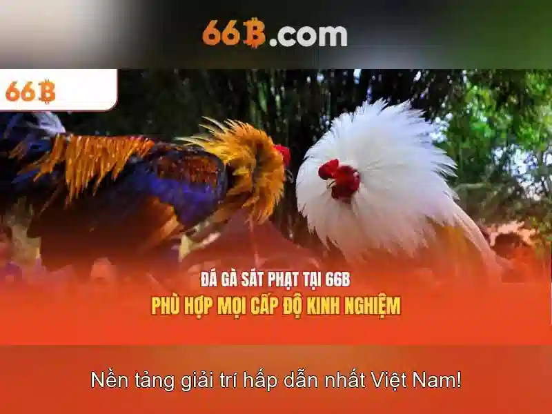 Mô hình ngôn ngữ 66B và tác động của nó