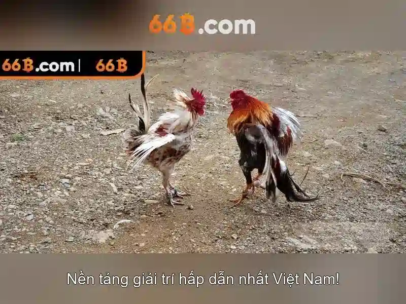 Mẹo chơi bắn cá 3 cây dễ ăn tiền nhà cái