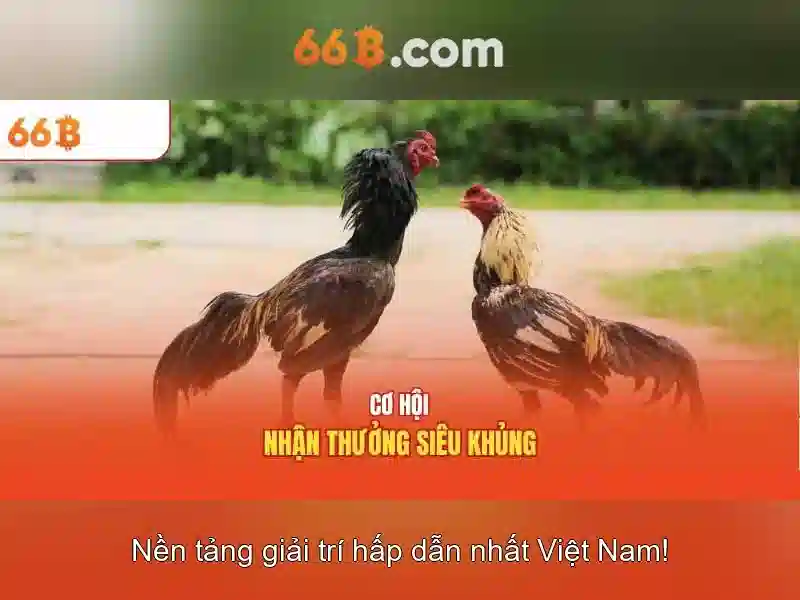 Ứng dụng và triển vọng