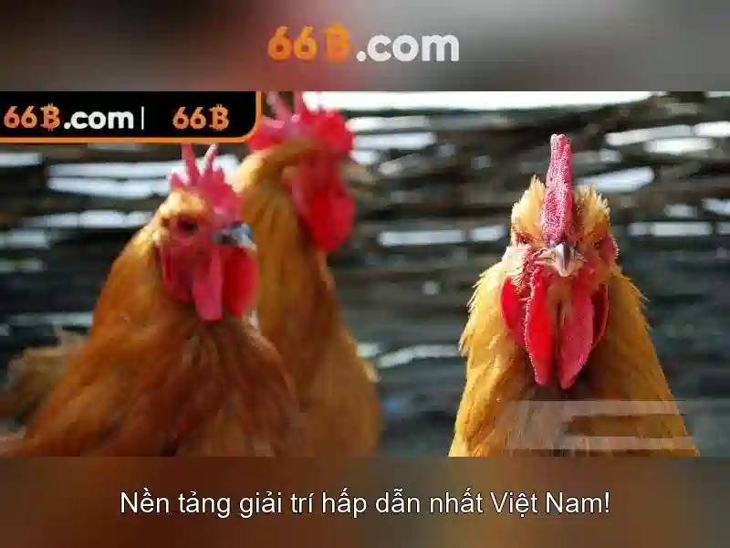 Mẹo chơi bắn cá 3 cây dễ ăn tiền nhà cái