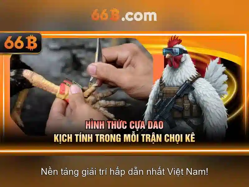 66b trong toán học\n