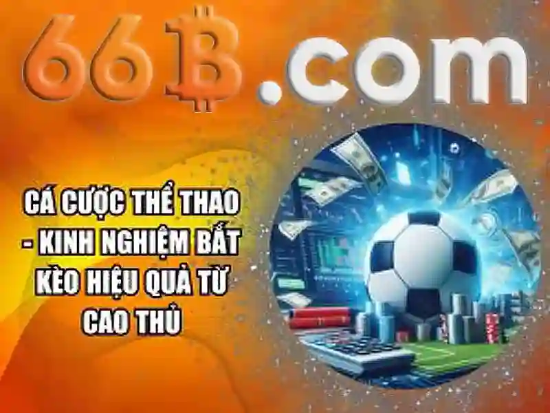 Hiệu suất và thử nghiệm