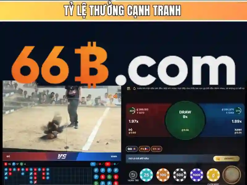 Ứng dụng tiềm năng của 66b