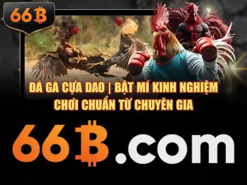 66B là gì? Mô hình ngôn ngữ với 66 tỷ tham số