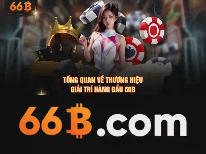 Khung làm việc và kích thước của 66b