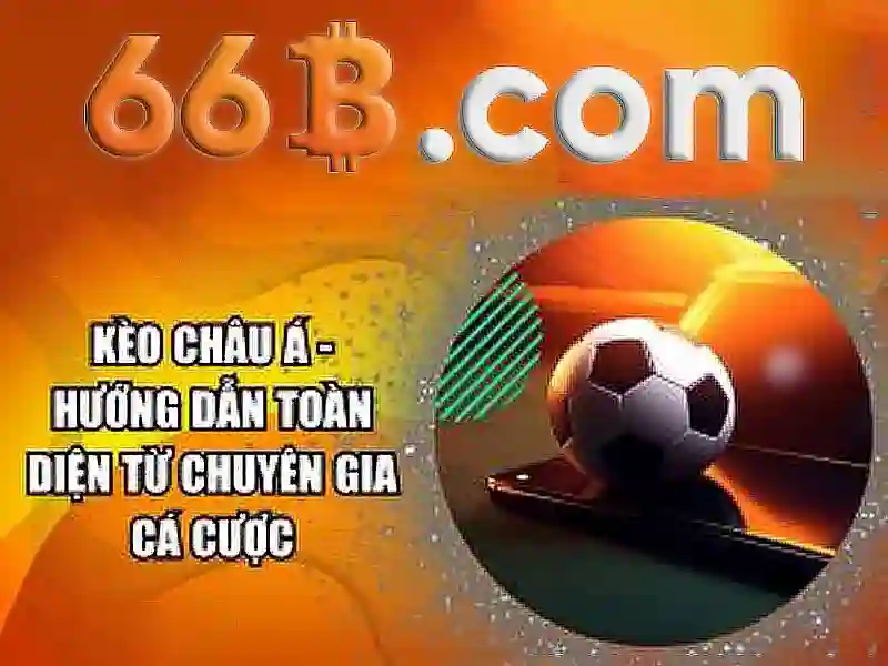 66b là gì?