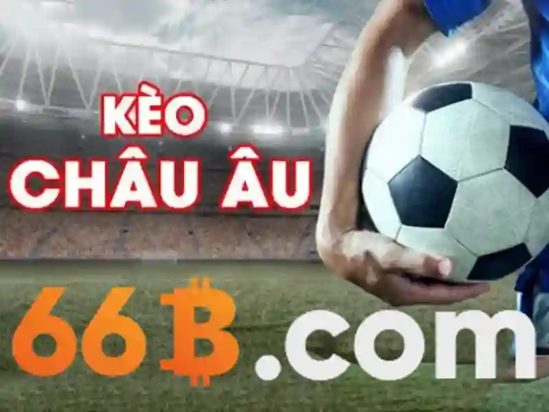 66b là gì?\n
