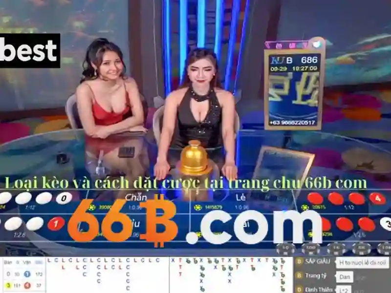 64b 66b: Lõi giá trị và hành trình thương hiệu 66b