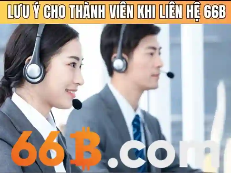 66b stgb – sản phẩm và dịch vụ chính