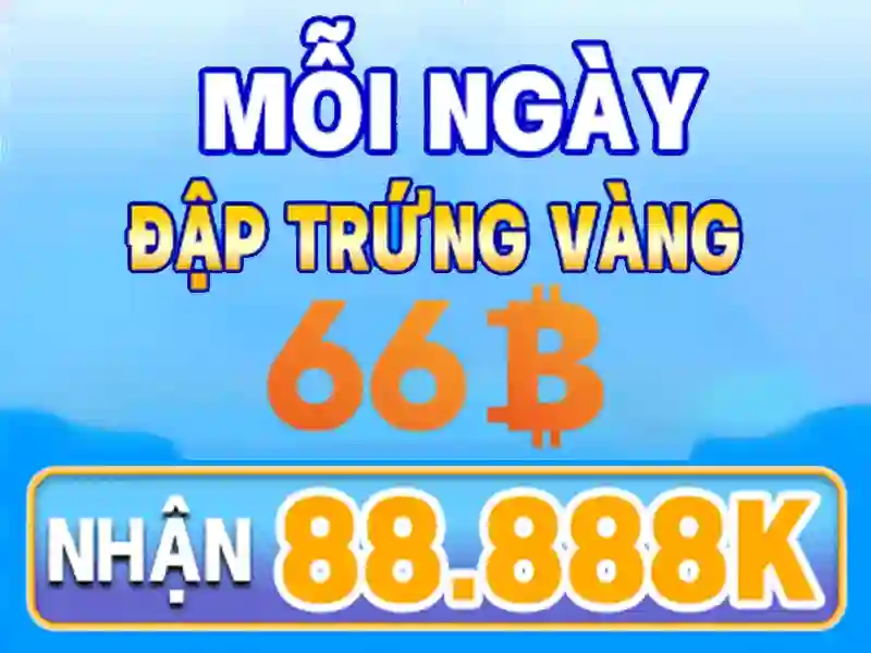 Trải nghiệm người dùng và phản hồi cộng đồng
