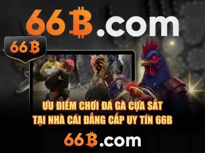 66b nguyễn si sách – chủ đề tổng quan và giá trị cốt lõi